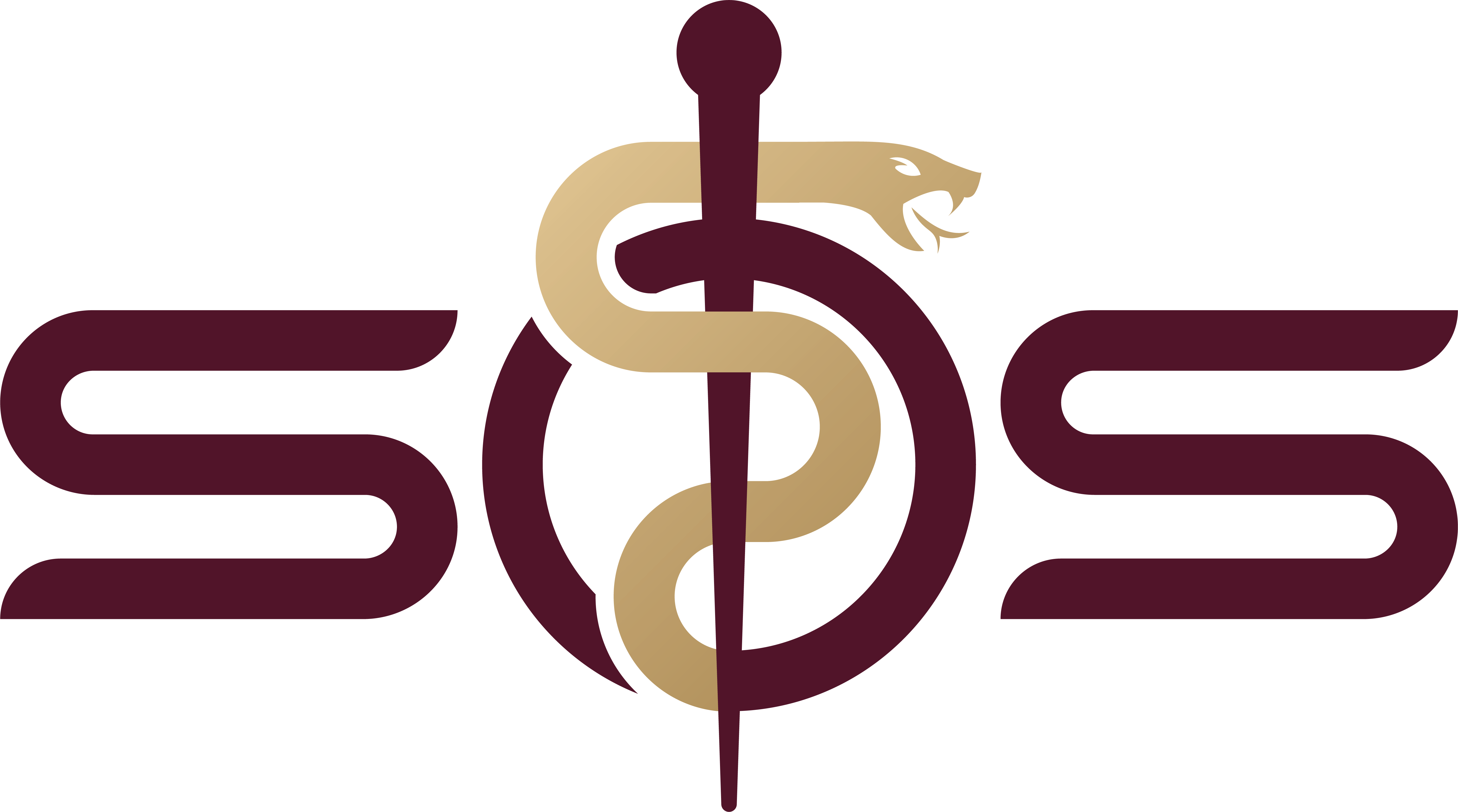 Small Orthopaedic Solutions